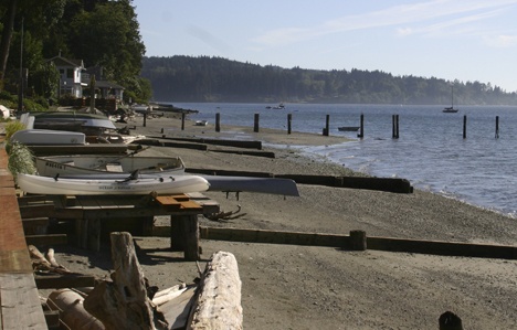 Sylvan Beach residents say they live in a wildlife-rich area.