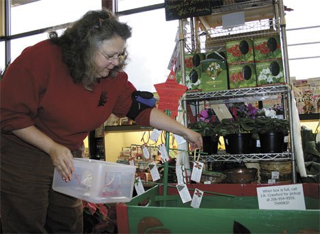 Kiwanis President JR Crawford places gift tags on a Kiwanis Toy Drive tag tree at Vashon Thriftway.