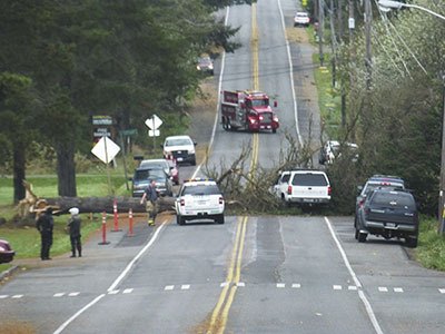 A fir tree fell across Vashon Highway and was hit by the white truck pictured above. The driver was reportedly all right.