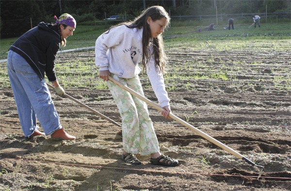 Kebbie Bedard and Rhea Enzian hoe a field at the food bank’s new farm on Wax Orchard Road.