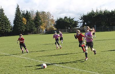 Young players with the Vashon Island Soccer Club race one another to the ball while playing at the newly renovated VES Fields Sunday.