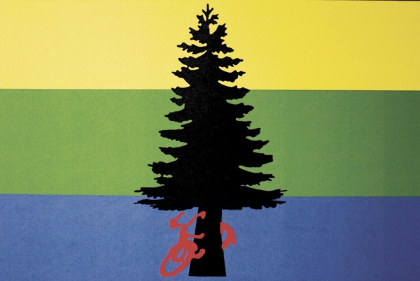 Adria Magrath’s design for a Vashon flag won a recent contest held at Two Wall Gallery.