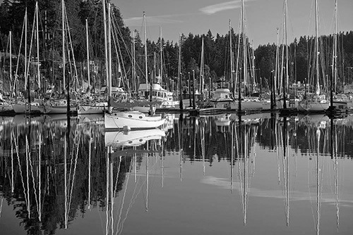 Today most of the boats on Vashon are no longer boats that residents depend on for survival and transportation. Most of the boats on Vashon today are pleasure boats: boats that we use for sport fishing