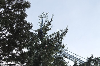 A Vashon Island Fire & Rescue worker puts the star at the top of the town Christmas tree last week in preparation for this Saturday’s tree lighting ceremony.