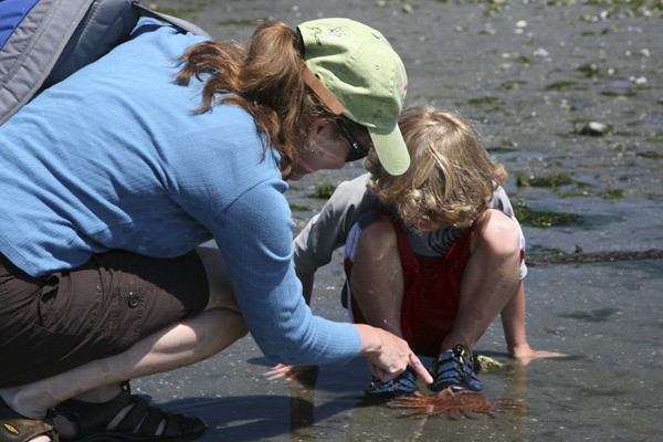 Pam Stenerson and Charlie Walker take a close look at a sea star.