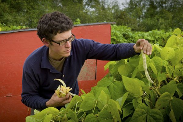 Chandler Briggs picks romano beans