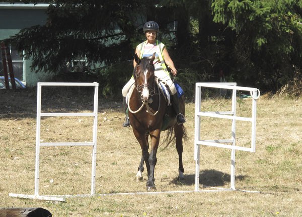 Char Phillips on her mare Gypsy negotiates the gate obstacle. They won the Best Conditioned Horse Award at the Vashon Maury Island Cooperative Trail Ride.