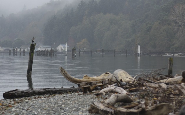 The council asked county staff to determine by June how much it will cost to remove the pilings and other remnants of mining at the Glacier site.