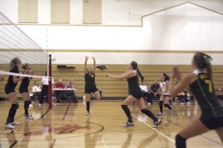 Devin Anderson (11) readies a set to middle hitter Marika Treese