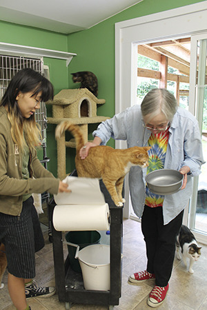 VIPP volunteers Amanda DeSantis (left) and Melinda Arroyo work at the crowded cat shelter off Old Mill Road.