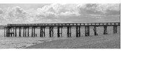 This aging but historic pier is within months of being torn down