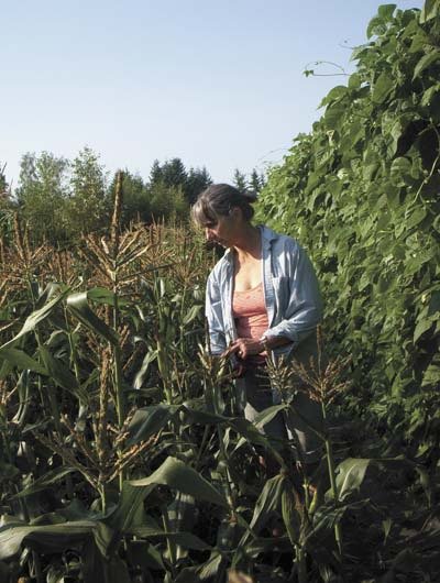 Margaret Hoeffel eyes corn at Shoulder-to-Shoulder Farm