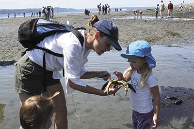 Beachgoers check out a starfish during last year's Low Tide Celebration at Point Robinson.