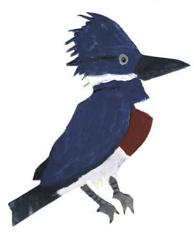 Cornell was particularly impressed by the birding program’s use of art to help students learn about birds. Pictured is a belted kingfisher drawn by Jacob White.