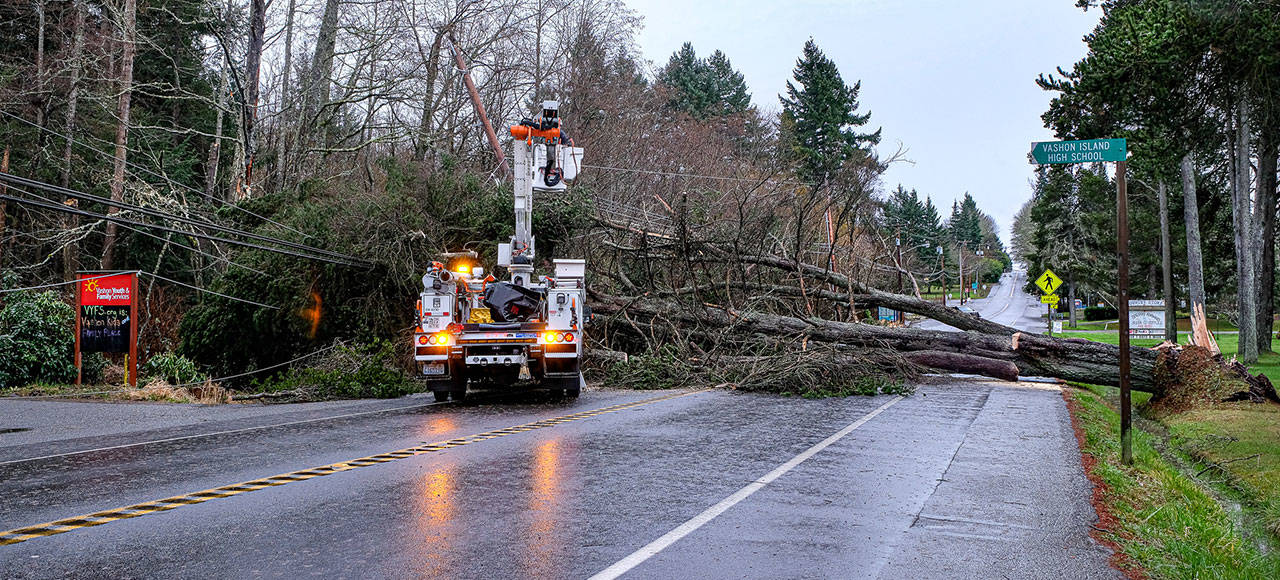 A wind storm that whipped through the island over the weekend saw several tree limbs and trees fall over, including this one that blocked Vashon Highway Southwest, between Cemetery Road and SW 204th Street, in both directions. (Martin Halliwell Photo)