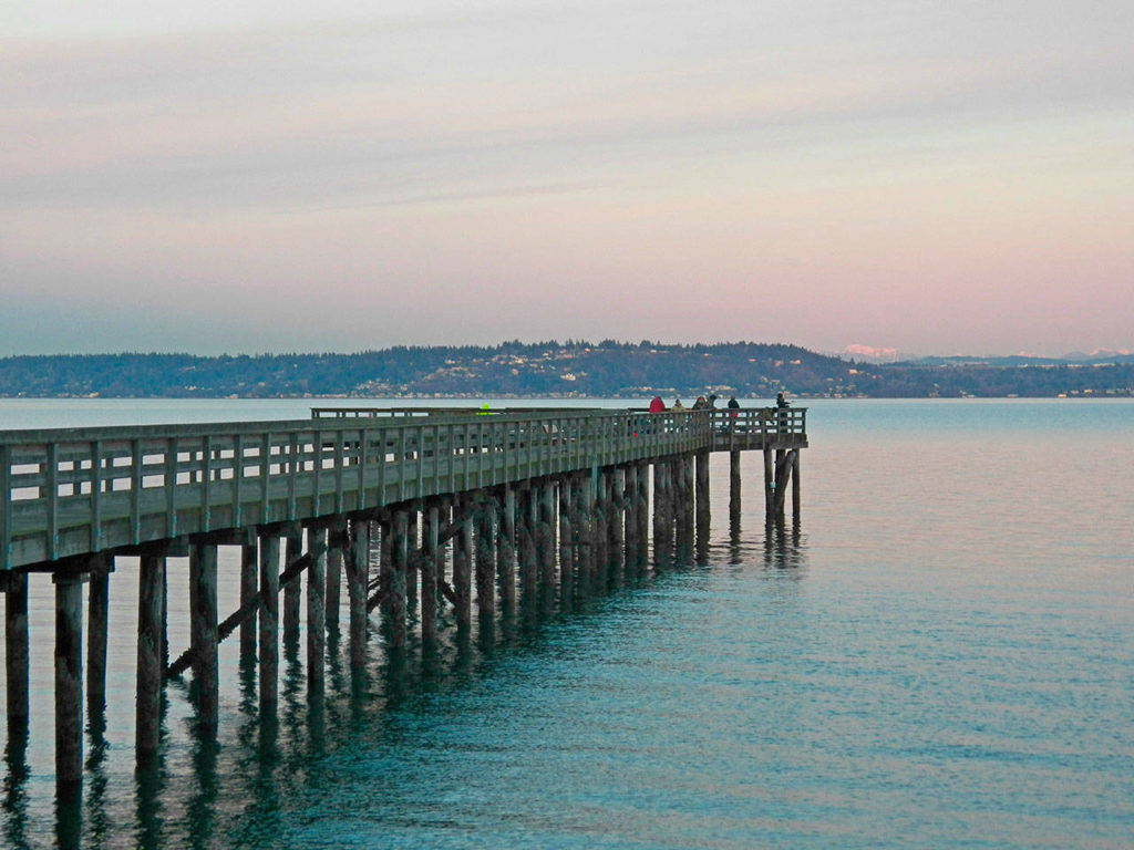 The Tramp Harbor dock last year before it was closed to the public (File Photo).