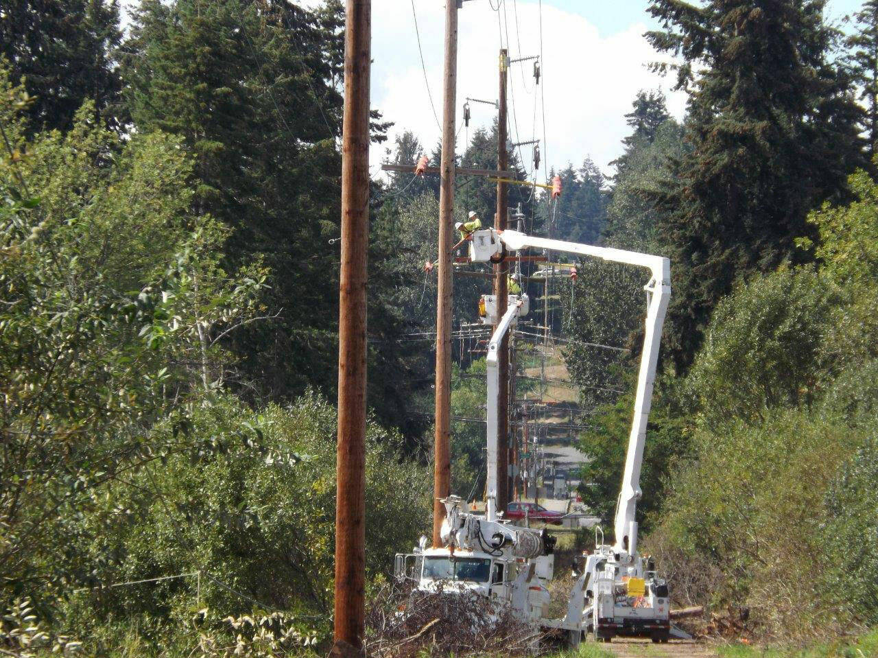 (File Photo Courtesy of Puget Sound Energy) Multiple workers for PSE trim and remove trees to clear pathways for utility lines.