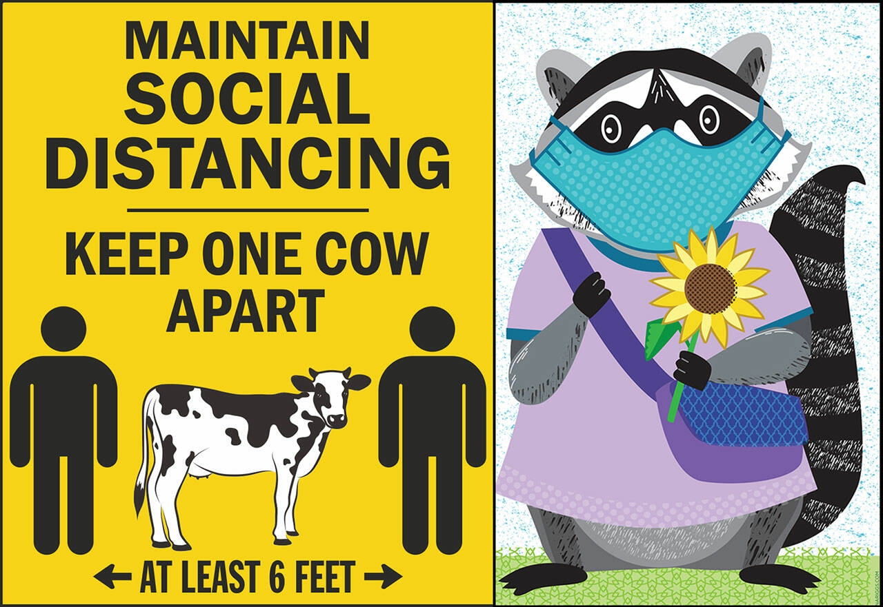 (Jenna Riggs Art) <em>Please Have a Cow and Get Masked: </em>Masking and getting some distance from others will go a long way towards keeping you safe from COVID, along with getting vaccinated and boosted. Just be careful and use common sense; that’s the basic idea. There’s a lot of COVID out there.