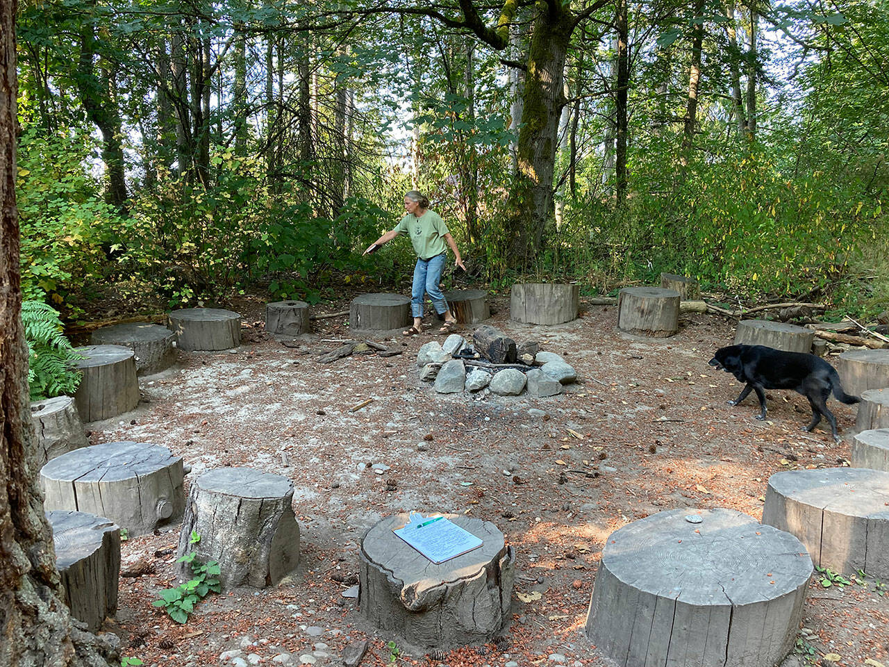 Dana Schuerholz tends one of five stump circles at Vashon Green School (Steve Bergman Photo).