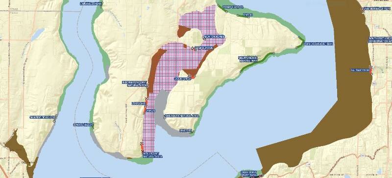 This map from the state Department of Health shows the area in Quartermaster Harbor (the red criss-cross grid) in which shellfish harvesting is temporarily closed due to high levels of paralytic shellfish poison (Courtesy Photo).