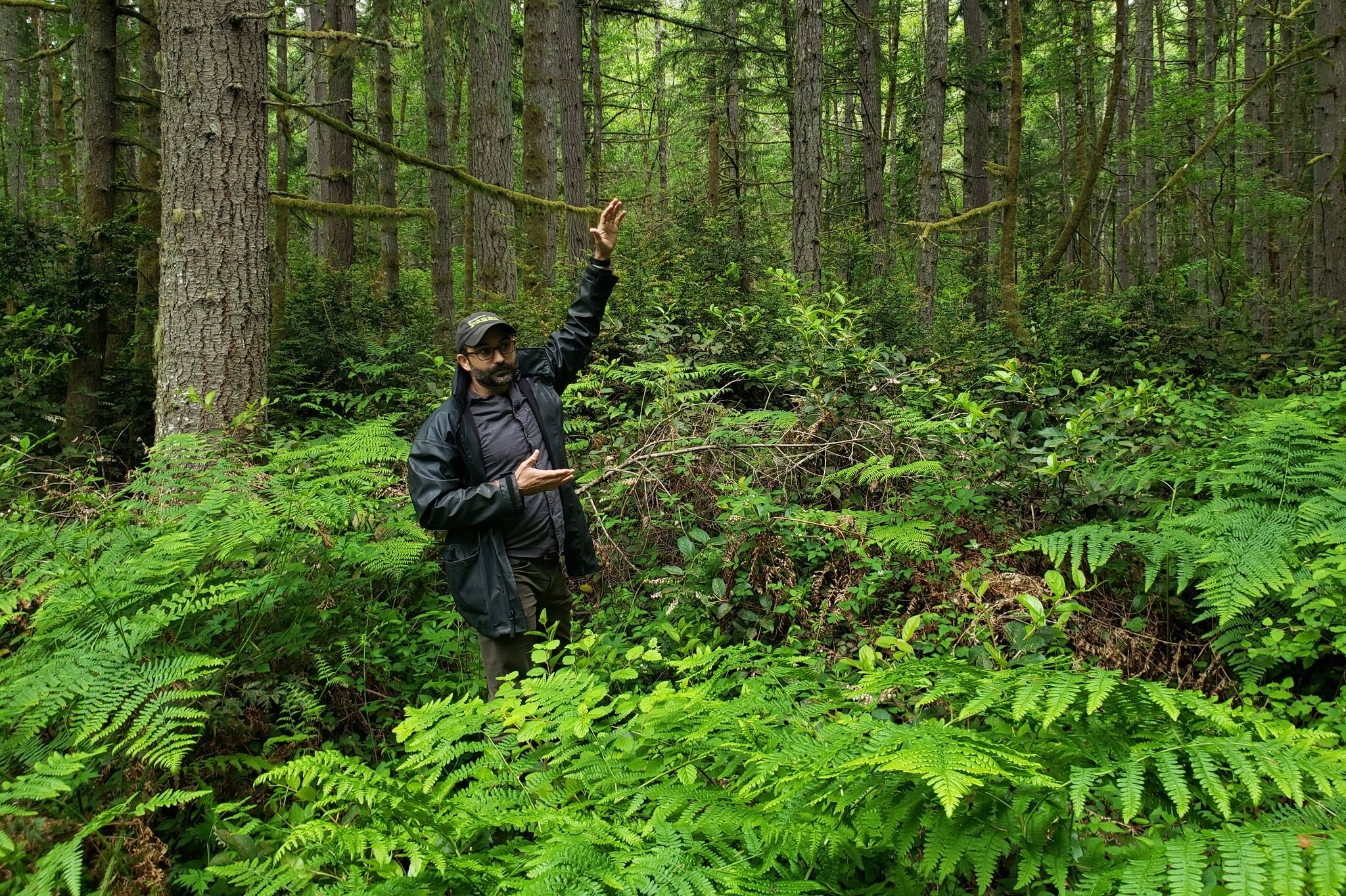 Paul Fischer, in a portion of the forest near the Mukai Pond parking lot, describes some of the actions loggers will be expected to take to minimize impact. Trees will be bucked and delimbed in place, for instance, to lessen the impact on the understory (Leslie Brown Photo).