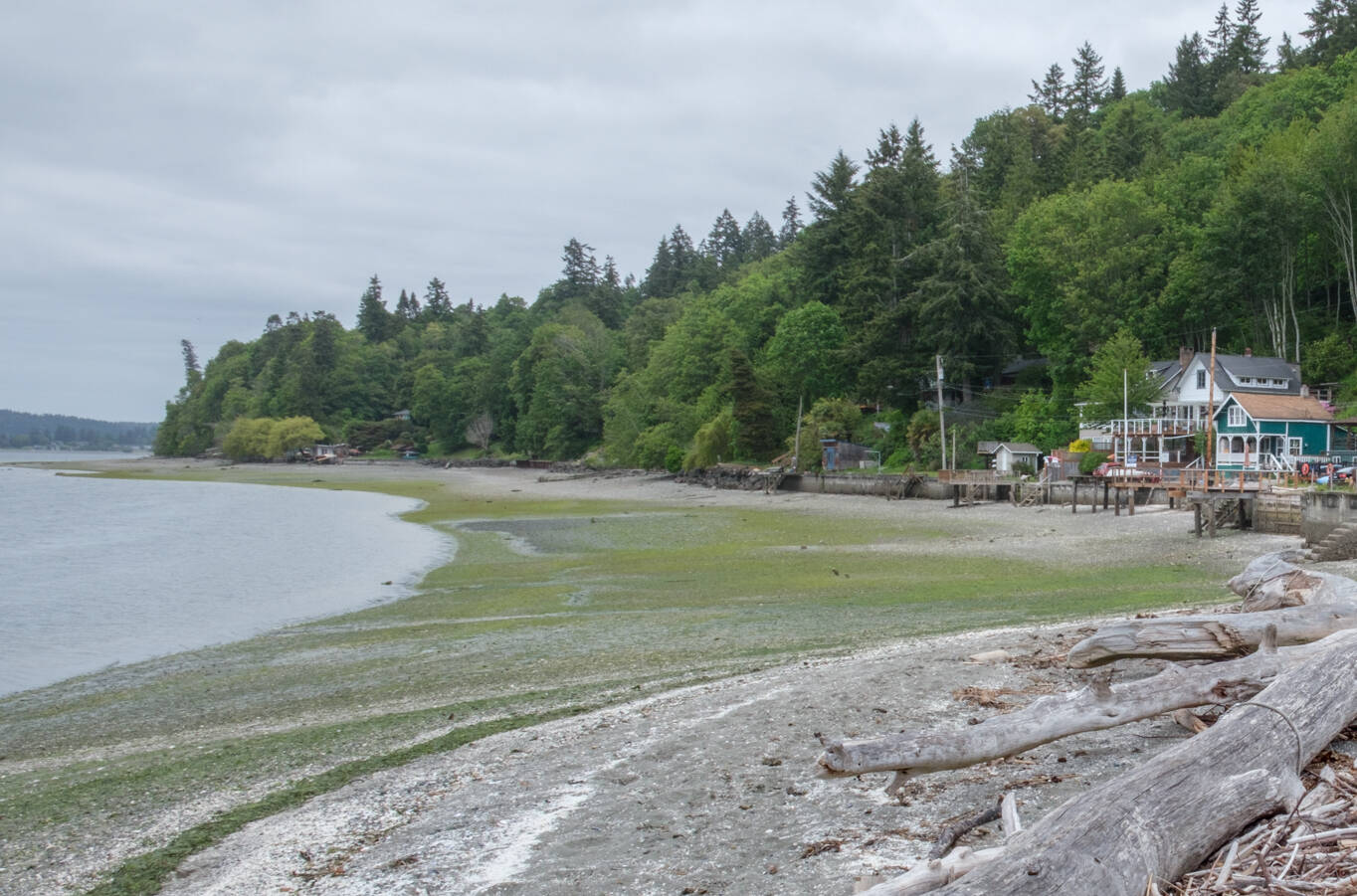 Manzanita, Maury Island in 2024. Terry Donnelly photo.