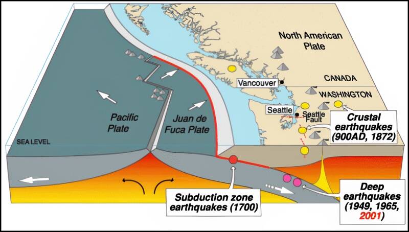 This is a geologist’s stylized cross-section view of the Cascadia Subduction Zone, with the undersea Juan de Fuca plate on the left (west) and the North American mainland plate on the right (east). The image shows how the Juan de Fuca plate is dipping beneath the mainland plate. It also shows some of the historic strong earthquakes in our active seismic region, including the quake in 1700 (Infographic by USGS).