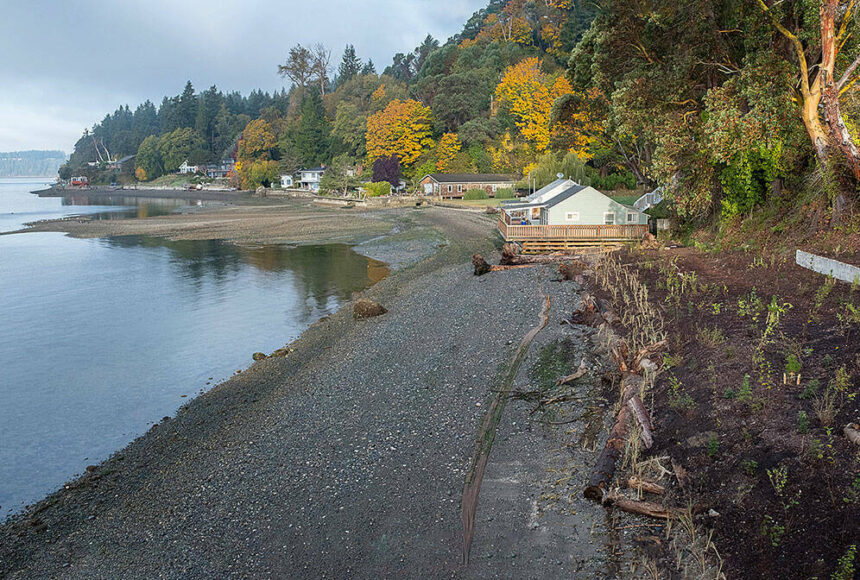 <p>This 2021 file photo shows restoration efforts at Tahlequah Beach on the island’s south end. Swimmers will set off from this general area of Vashon’s southern tip, heading toward Pt. Defiance. (Terry Donnelly photo.)</p>