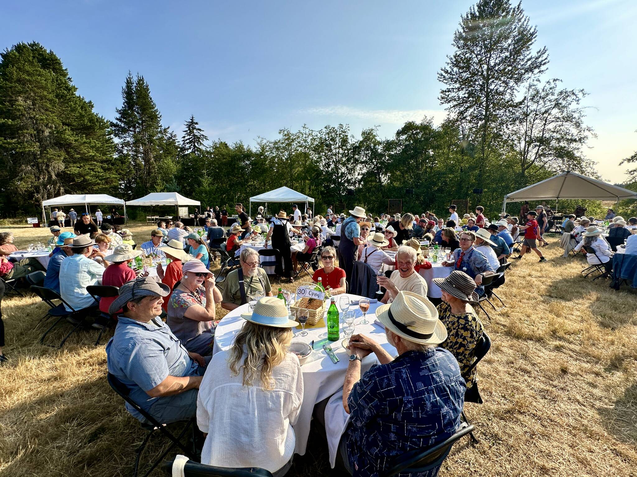 Islanders celebrated and fundraised for the Vashon Land Trust on July 27 at Matsuda Farm for the Vashon-Maury Island Land Trust’s annual “Party Under the Big Sky.” (Sam Van Fleet photo)