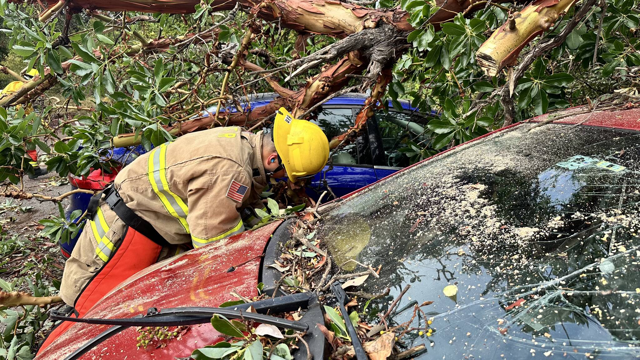 Vashon Island Fire & Rescue photo