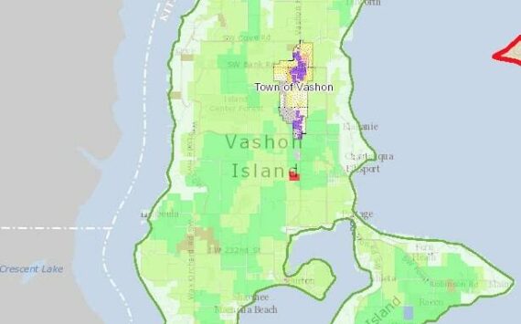 King County iMap screenshot
This image shows the zoning of Vashon Island. Areas in green are zoned "Rural Area." Areas in dark purple are zoned "Community Business." Areas in shades of yellow, orange and red are either "Residential" or "Office." Other zoning across the island includes "Agricultural" and "Neighborhood Business."