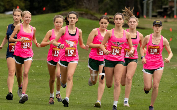 The girls of the Vashon High School Cross Country team kick off their race at Camas Prairie Golf Park in Port Townsend on Tuesday, September 17. (John Decker photo)