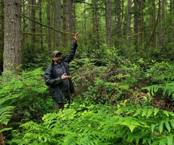 King County senior forester Paul Fischer, in a portion of the forest near the Mukai Pond parking lot earlier this year, describes the logging process at Island Center Forest. (Leslie Brown Photo).