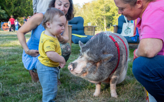 Alex Bruell photo
One-year-old Kash Freeman and his mother Selena Ligrano meet Elvis Pigsley, a pig brought to the Harvest Party by Emerald City Pet Rescue's Amanda Bowser (right).