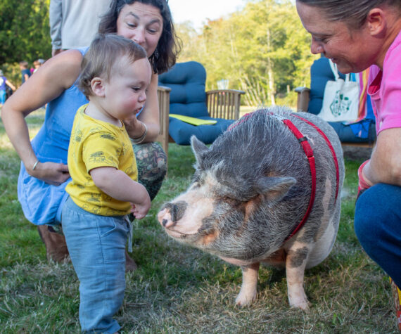 Alex Bruell photo
One-year-old Kash Freeman and his mother Selena Ligrano meet Elvis Pigsley, a pig brought to the Harvest Party by Emerald City Pet Rescue's Amanda Bowser (right).