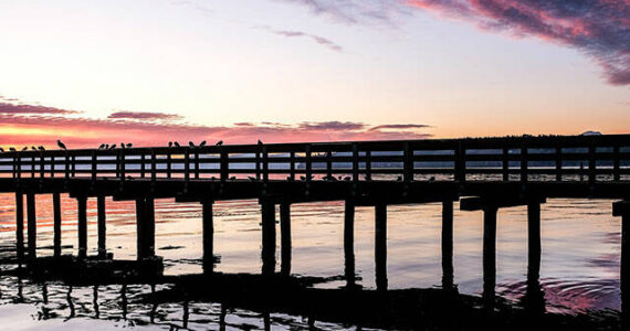 Tramp Harbor dock (file photo)