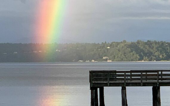 Vashon Parks Foundation is raising funds for a number of worthy projects, including replacing Vashon’s iconic Tramp Harbor Dock. (Ray Pfortner photo)