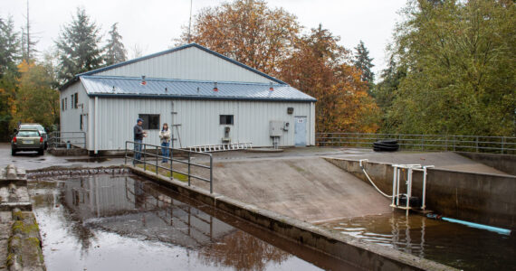 Alex Bruell photo
Adjacent to the water district's treatment center building are its water recycling ponds, seen here in the foreground. Sludge from the ponds dries out in the leftmost basin. The recycling ponds on the right suffered a cyanobacterial bloom earlier this summer