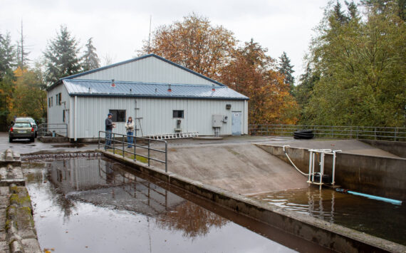 Alex Bruell photo
Adjacent to the water district's treatment center building are its water recycling ponds, seen here in the foreground. Sludge from the ponds dries out in the leftmost basin. The recycling ponds on the right suffered a cyanobacterial bloom earlier this summer