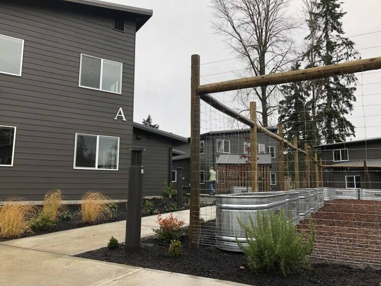 Islanders got a taste of the Island Center Homes housing development at SW 188th Street and Vashon Highway during an open house Dec. 7. A ribbon-cutting is set for 1 p.m. on Thursday. (Alex Bruell photo)