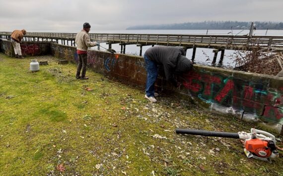 Volunteers from island-based Meade Building Company painted over graffiti at Tramp Harbor and collected litter along the Point Robinson and Lisabuela shorelines on Dec. 4 as part of a company volunteer day. Both the Tramp Harbor Dock and Point Robinson and Lisabeula properties are owned and managed by the Vashon Park District (VPD), whose executive director, Elaine Ott Rocheford, confirmed that Meade had reached out to VPD this fall to volunteer their efforts. (Photo courtesy Bryan Ripka)