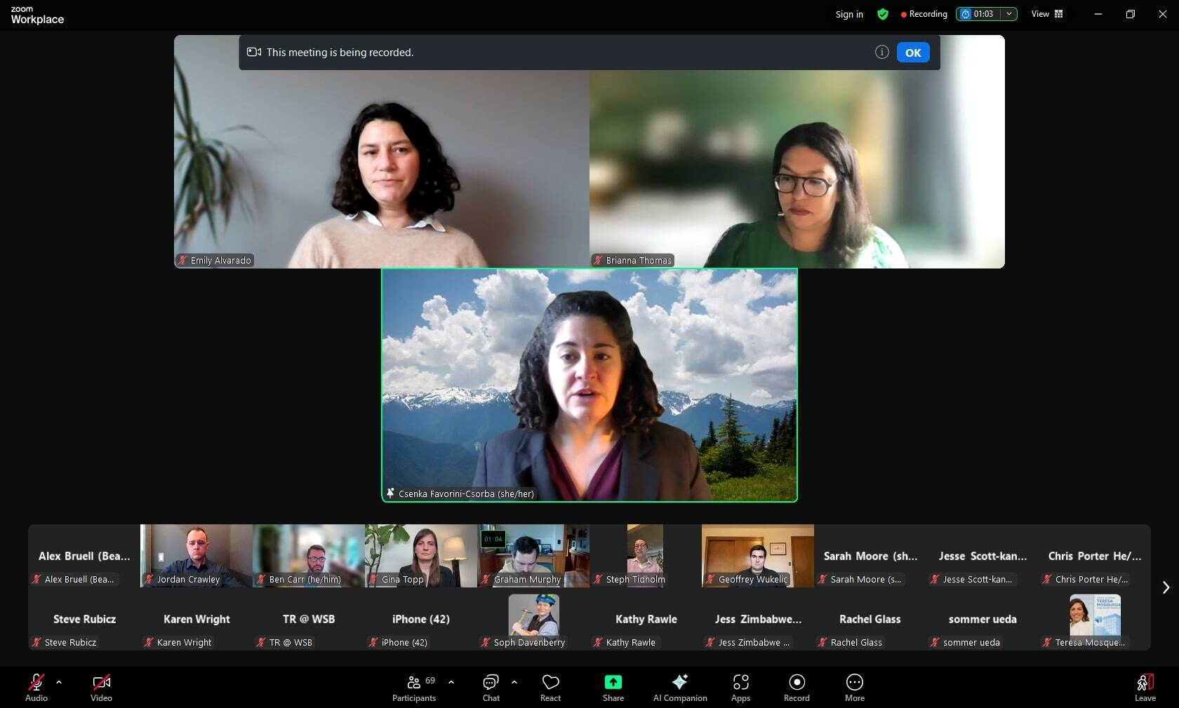 In this screenshot from Sunday’s candidate forum, attendees listen to pitches from Csenka Favorini-Csorba, Emily Alvarado and Brianna Thomas for 34th Legislative District seats.